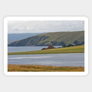 Shetland Sticker